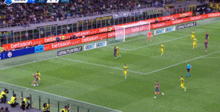 net, fg